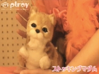 「バーバラちゃんの正体」ストッキングマダム(第17回)